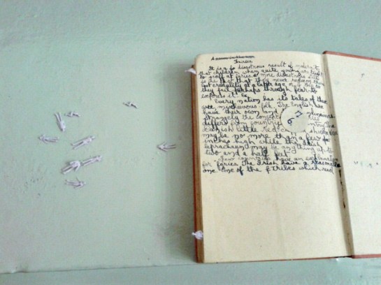 Mick O'Shea and Irene Murphy of Strange Attractor performing live at The LFTT Library at Highlanes Gallery May 2013.