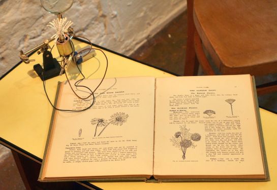 10257452_869083426516465_5819634508259476141_o