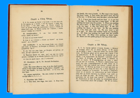 aids_to-irish_34_35withbkgrnd