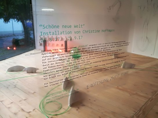 2017-09-21-18.56.03-1