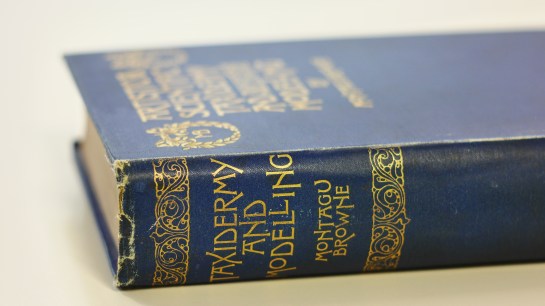 angelika-books-helen