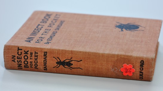 hildegard-books-helen_web