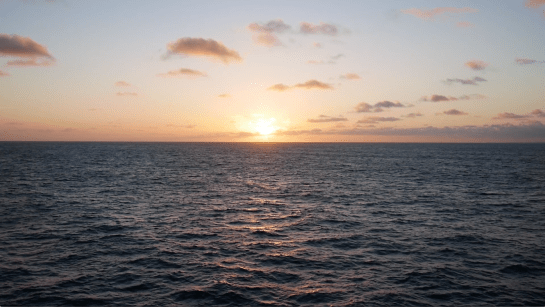 Screen Shot 2017-10-11 at 17.41.31